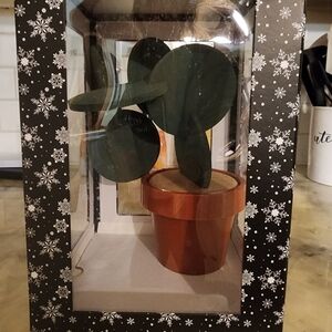 Decorative Green Cactus in Brown Pot
